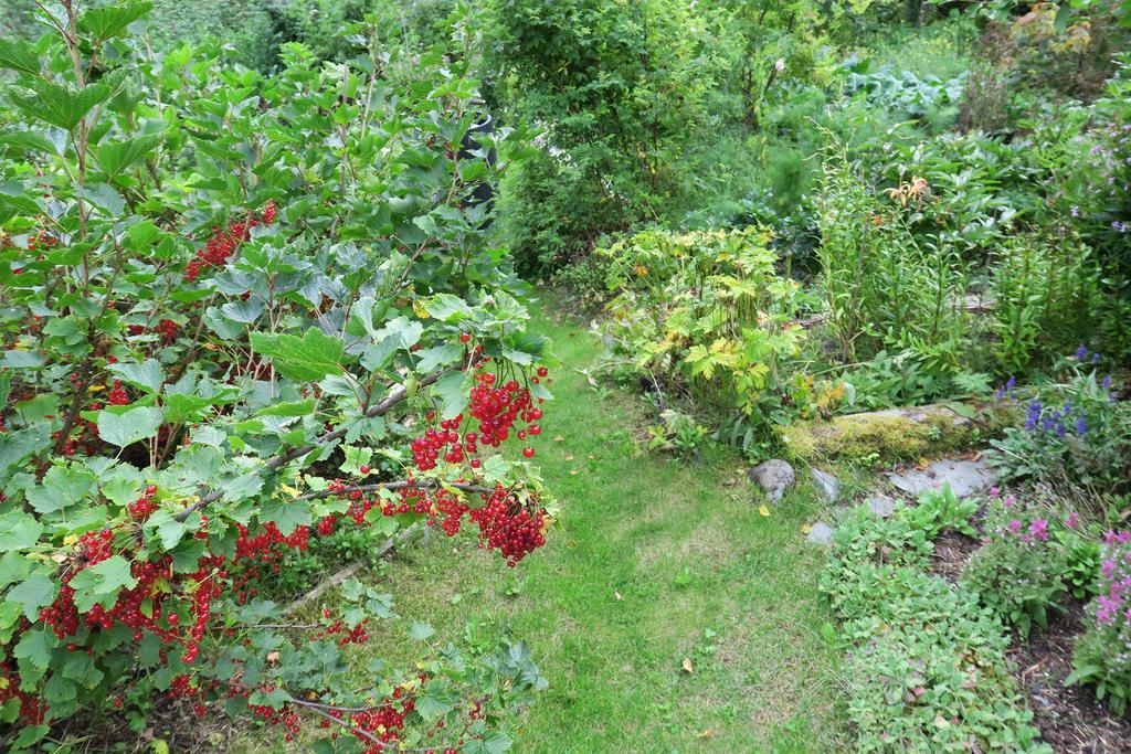 Brigitte'S Bavarian Bed Und Breakfast Millers Landing Екстериор снимка
