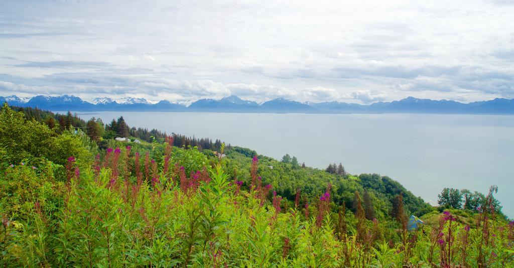 Brigitte'S Bavarian Bed Und Breakfast Millers Landing Екстериор снимка